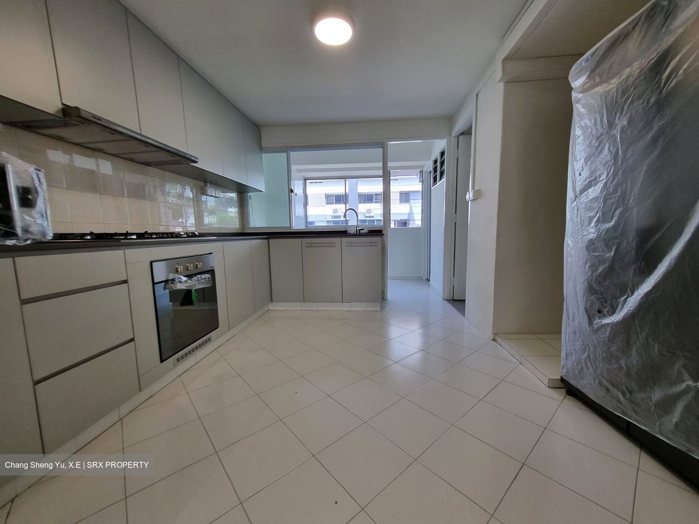 Dunearn Road (D11), Condominium #484958701